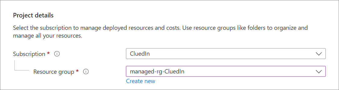 Project details on the Basics tab with Subscription CluedIn and a Resource group selected, and a Create new link