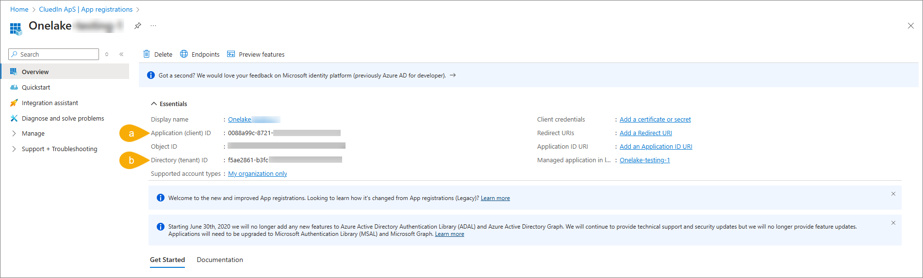 App registration Overview page with callouts on the Application (client) ID (a) and the Directory (tenant) ID (b)